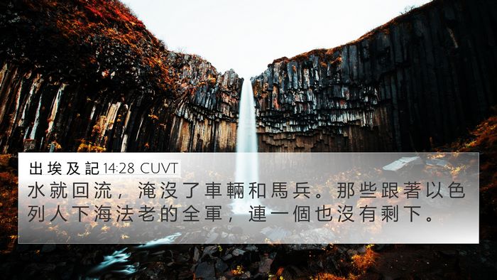 出 埃 及 記 14:28 CUVT Bible Verse Image