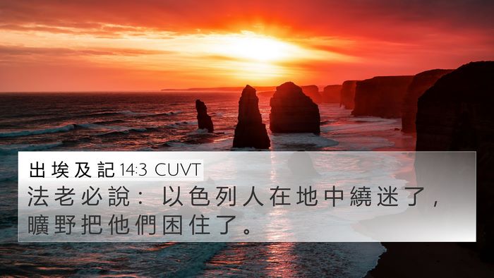 出 埃 及 記 14:3 CUVT Bible Verse Image