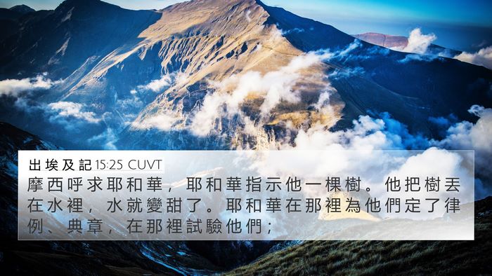 出 埃 及 記 15:25 CUVT Bible Verse Image