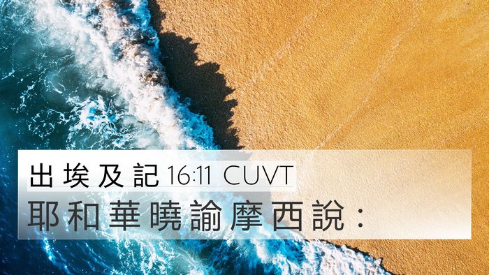 出 埃 及 記 16:11 CUVT 4K Wallpaper - 耶 和 華 曉 諭 摩 西 說 - 4K Wallpaper Bible Verse