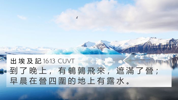 出 埃 及 記 16:13 CUVT 4K Wallpaper - 到 了 晚 上 ， 有 鵪 鶉 飛 來 ， 遮 - 4K Wallpaper Bible Verse