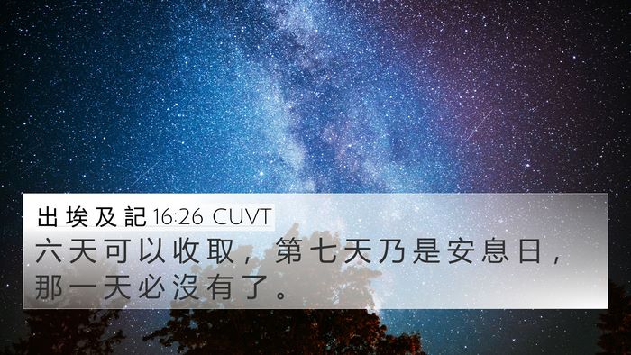 出 埃 及 記 16:26 CUVT 4K Wallpaper - 六 天 可 以 收 取 ， 第 七 天 乃 是 - 4K Wallpaper Bible Verse