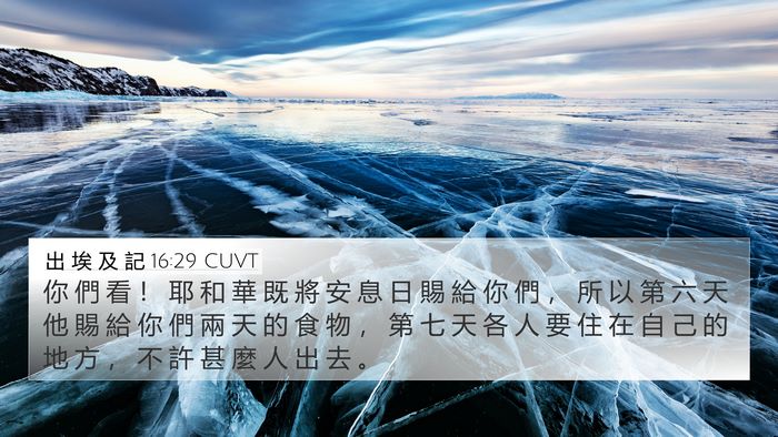 出 埃 及 記 16:29 CUVT Bible Verse Image