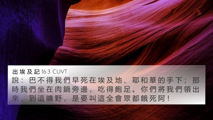 出 埃 及 記 16:3 CUVT Bible Verse Image