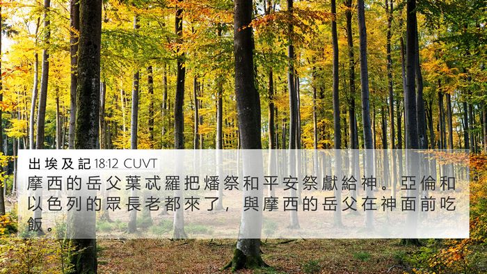 出 埃 及 記 18:12 CUVT 4K Wallpaper - 摩 西 的 岳 父 葉 忒 羅 把 燔 祭 和 - 4K Wallpaper Bible Verse