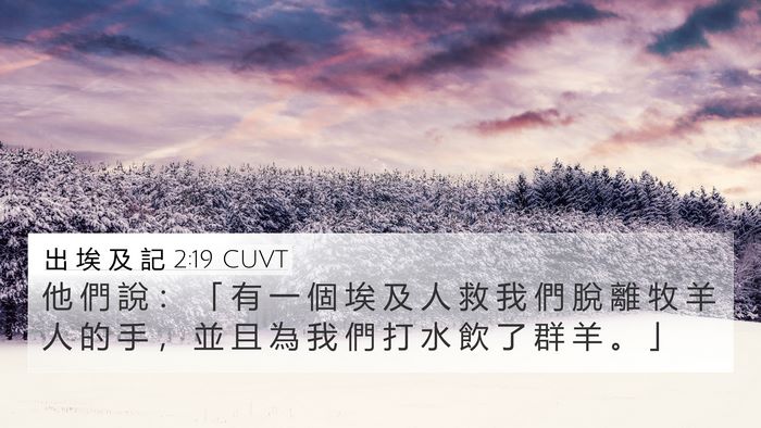 出 埃 及 記 2:19 CUVT 4K Wallpaper - 他 們 說 ： 「 有 一 個 埃 及 人 救 - 4K Wallpaper Bible Verse