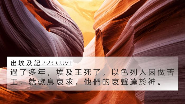 出 埃 及 記 2:23 CUVT Bible Verse Image