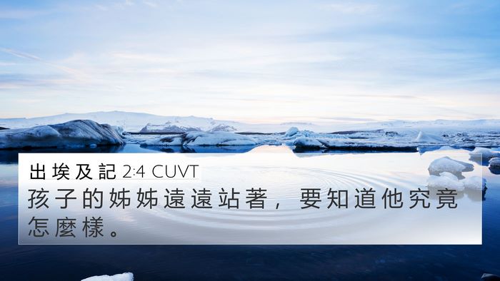 出 埃 及 記 2:4 CUVT 4K Wallpaper - 孩 子 的 姊 姊 遠 遠 站 著 ， 要 知 - 4K Wallpaper Bible Verse