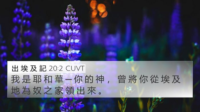 出 埃 及 記 20:2 CUVT Bible Verse Image