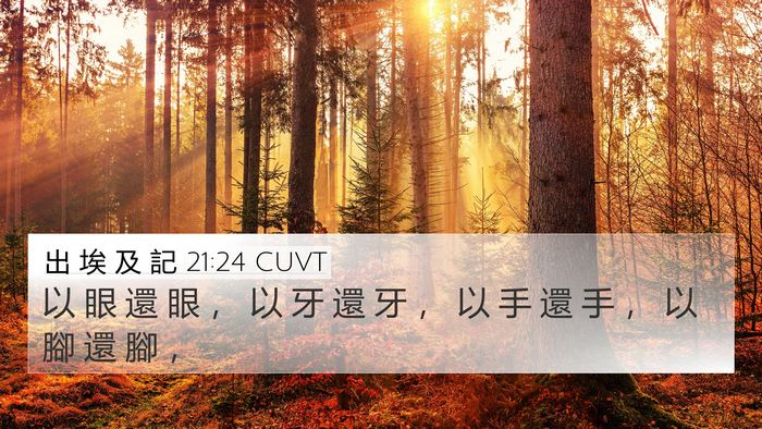 出 埃 及 記 21:24 CUVT 4K Wallpaper - 以 眼 還 眼 ， 以 牙 還 牙 ， 以 手 - 4K Wallpaper Bible Verse
