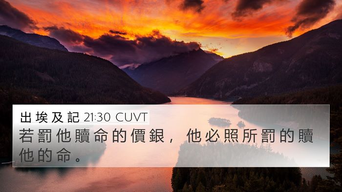 出 埃 及 記 21:30 CUVT Bible Verse Image