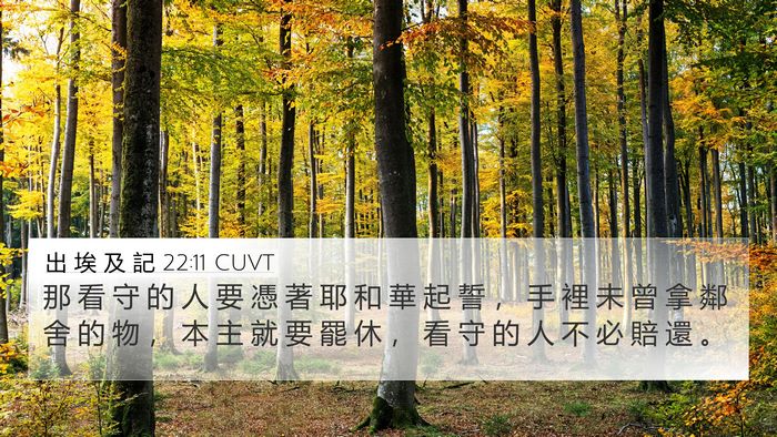 出 埃 及 記 22:11 CUVT Bible Verse Image