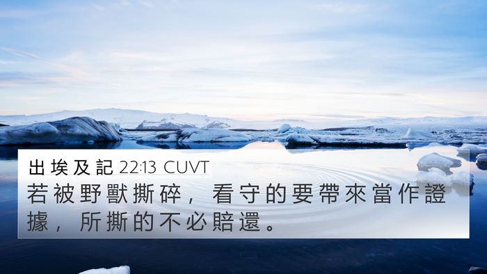 出 埃 及 記 22:13 CUVT 4K Wallpaper - 若 被 野 獸 撕 碎 ， 看 守 的 要 帶 - 4K Wallpaper Bible Verse