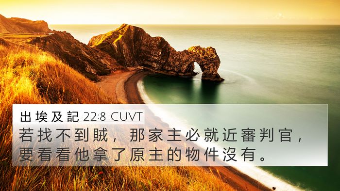 出 埃 及 記 22:8 CUVT 4K Wallpaper - 若 找 不 到 賊 ， 那 家 主 必 就 近 - 4K Wallpaper Bible Verse