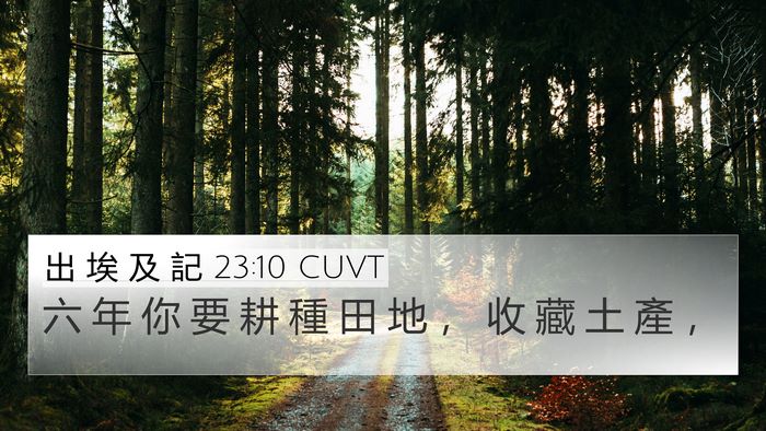 出 埃 及 記 23:10 CUVT Bible Verse Image