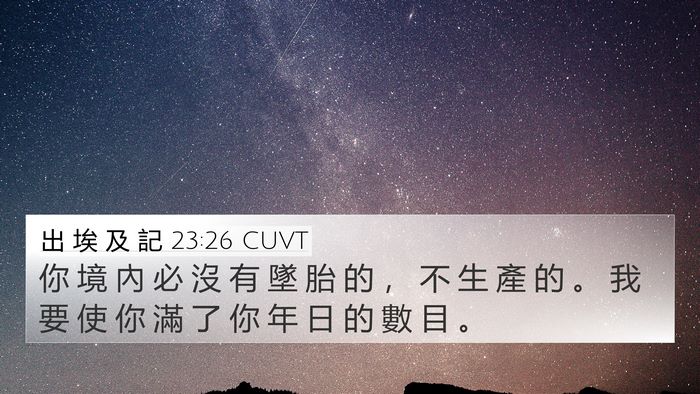 出 埃 及 記 23:26 CUVT 4K Wallpaper - 你 境 內 必 沒 有 墜 胎 的 ， 不 生 - 4K Wallpaper Bible Verse