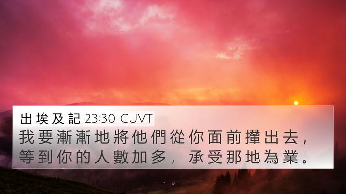 出 埃 及 記 23:30 CUVT 4K Wallpaper - 我 要 漸 漸 地 將 他 們 從 你 面 前 - 4K Wallpaper Bible Verse