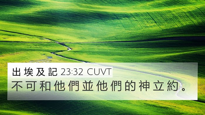 出 埃 及 記 23:32 CUVT Bible Verse Image