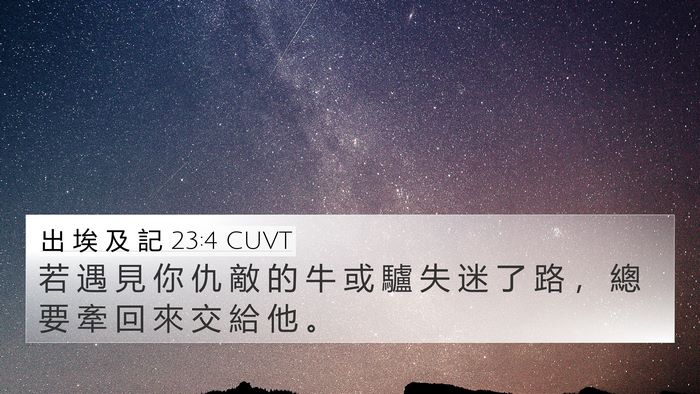 出 埃 及 記 23:4 CUVT Bible Verse Image