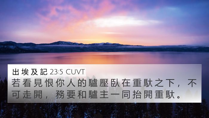 出 埃 及 記 23:5 CUVT Bible Verse Image