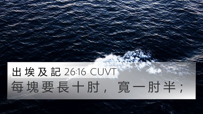 出 埃 及 記 26:16 CUVT 4K Wallpaper - 每 塊 要 長 十 肘 ， 寬 一 肘 半 - 4K Wallpaper Bible Verse