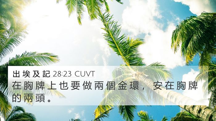 出 埃 及 記 28:23 CUVT 4K Wallpaper - 在 胸 牌 上 也 要 做 兩 個 金 環 ， - 4K Wallpaper Bible Verse