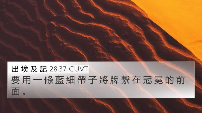 出 埃 及 記 28:37 CUVT Bible Verse Image