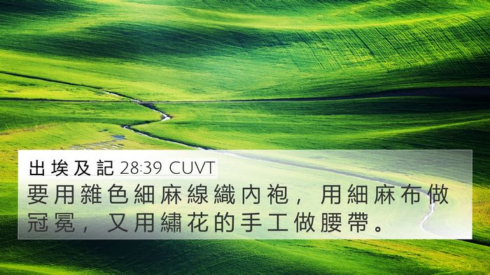 出 埃 及 記 28:39 CUVT Bible Verse Image