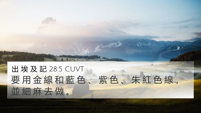 出 埃 及 記 28:5 CUVT Bible Verse Image