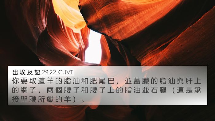 出 埃 及 記 29:22 CUVT Bible Verse Image