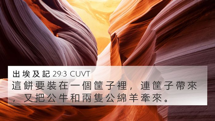 出 埃 及 記 29:3 CUVT 4K Wallpaper - 這 餅 要 裝 在 一 個 筐 子 裡 ， 連 - 4K Wallpaper Bible Verse
