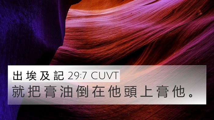 出 埃 及 記 29:7 CUVT Bible Verse Image