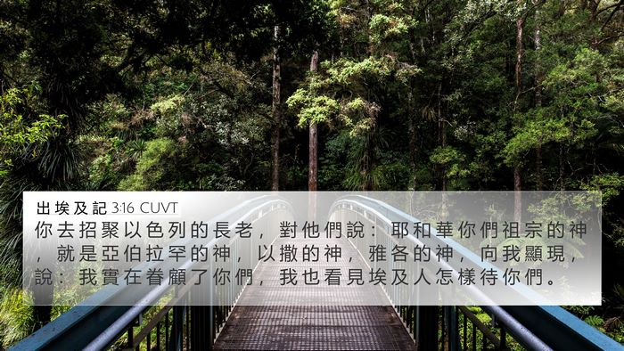 出 埃 及 記 3:16 CUVT Bible Verse Image