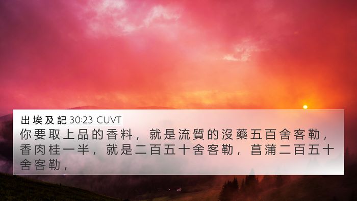 出 埃 及 記 30:23 CUVT Bible Verse Image