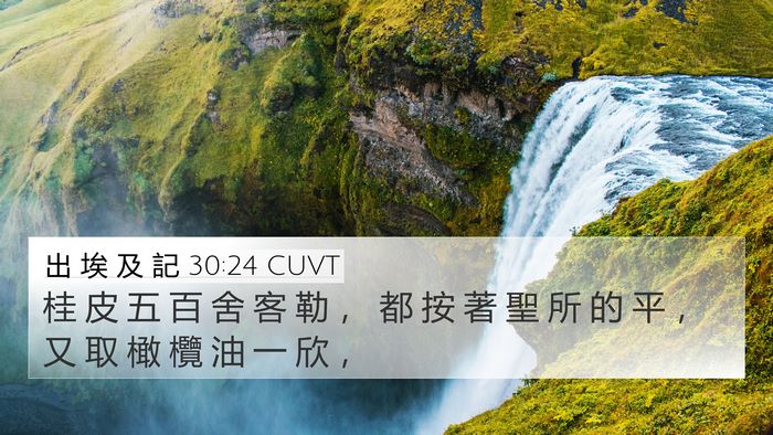 出 埃 及 記 30:24 CUVT Bible Verse Image