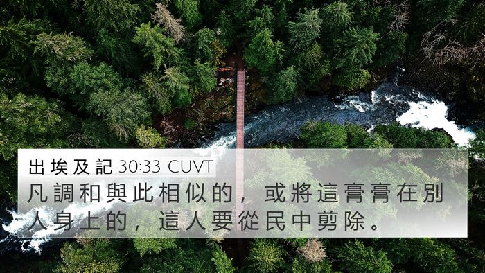 出 埃 及 記 30:33 CUVT Bible Verse Image