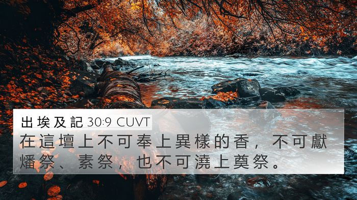 出 埃 及 記 30:9 CUVT Bible Verse Image