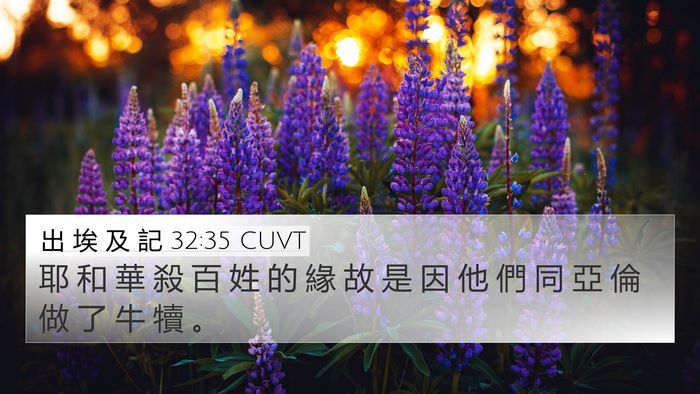 出 埃 及 記 32:35 CUVT Bible Verse Image