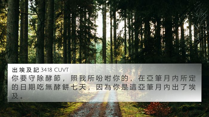 出 埃 及 記 34:18 CUVT Bible Verse Image