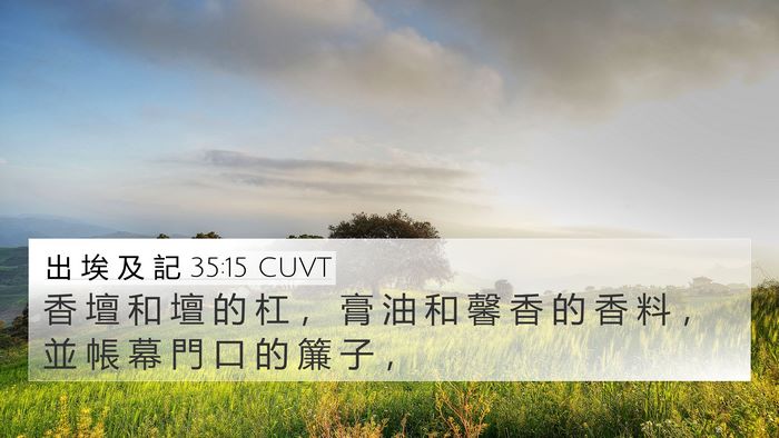 出 埃 及 記 35:15 CUVT 4K Wallpaper - 香 壇 和 壇 的 杠 ， 膏 油 和 馨 香 - 4K Wallpaper Bible Verse