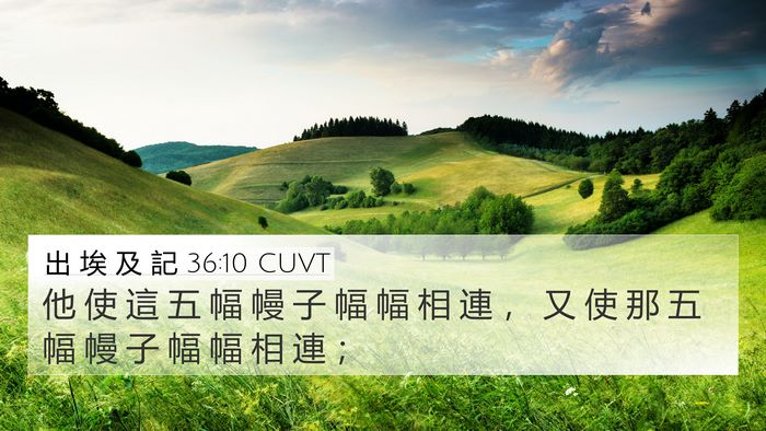 出 埃 及 記 36:10 CUVT Bible Verse Image