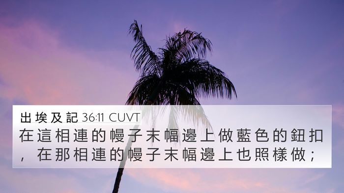 出 埃 及 記 36:11 CUVT Bible Verse Image