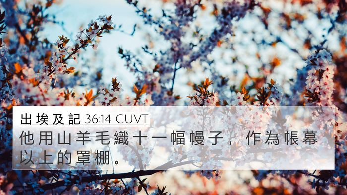 出 埃 及 記 36:14 CUVT Bible Verse Image