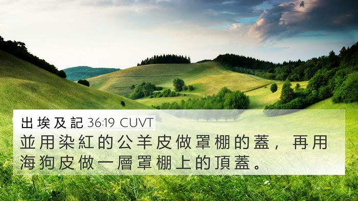 出 埃 及 記 36:19 CUVT Bible Verse Image