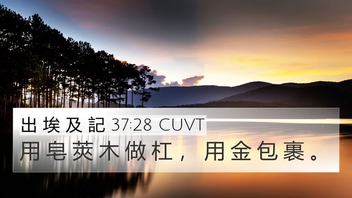 出 埃 及 記 37:28 CUVT 4K Wallpaper - 用 皂 莢 木 做 杠 ， 用 金 包 裹 - 4K Wallpaper Bible Verse