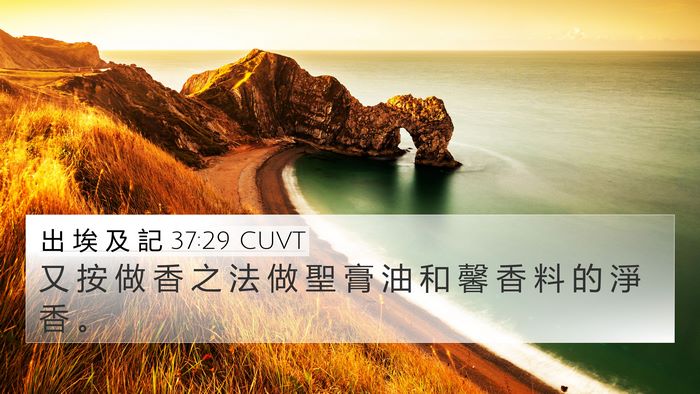 出 埃 及 記 37:29 CUVT Bible Verse Image