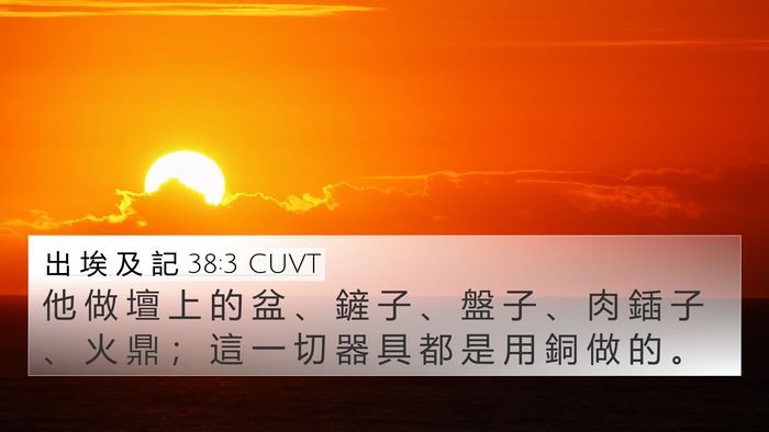 出 埃 及 記 38:3 CUVT Bible Verse Image