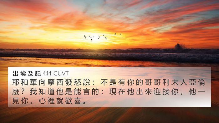 出 埃 及 記 4:14 CUVT Bible Verse Image