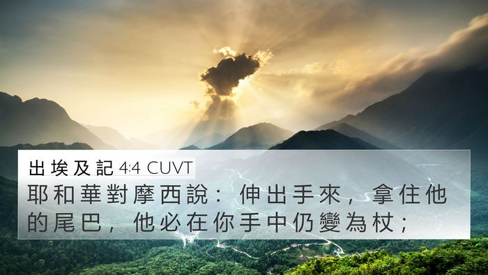出 埃 及 記 4:4 CUVT Bible Verse Image