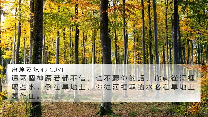 出 埃 及 記 4:9 CUVT Bible Verse Image